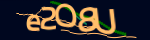 Enter the character string shown in the picture