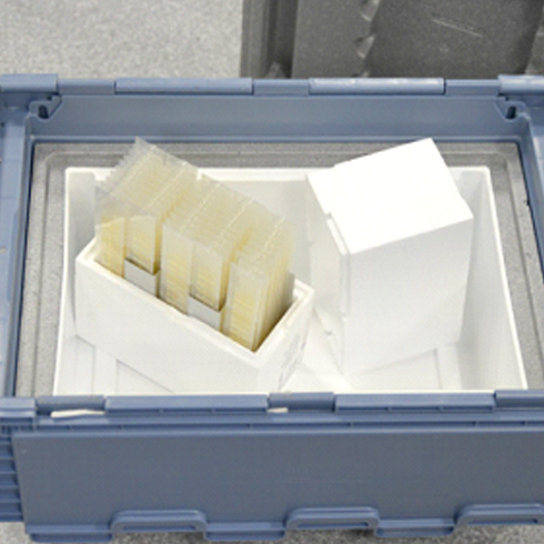 Qualification of a packaging system GxP compliant qualification of a packaging system